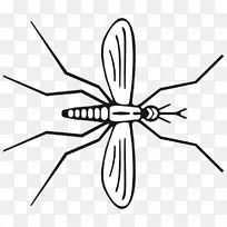 蚊虫传粉线艺术剪贴画-蚊子