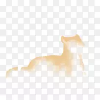 胡须猫狗鼻子桌面壁纸-猫