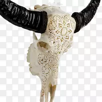 曼达拉头骨我们脑海中的世界牛XL角-水牛头骨