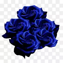 花园玫瑰蓝玫瑰切花一朵蓝色玫瑰
