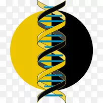 从这里到哪里，从一个村庄的圣经的文字，从天堂的眼泪，启示录-人