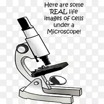实验室显微镜