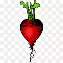 蔬菜食品代康花园萝卜剪贴画-蔬菜