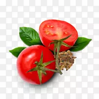 一种食品抗氧化剂-番茄