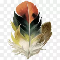 鸟羽袋帆布-鸟