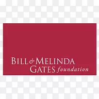 比尔和梅林达盖茨基金会私人基金会盖茨家庭组织-比尔盖茨