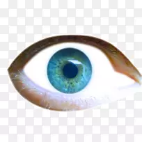 虹膜眼睑眉眼