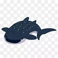 凯洛人鲸鲨海豚虎鲸-鲨鱼