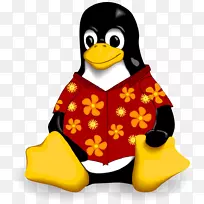 linux发行版debian桌面环境操作系统-夏威夷衬衫