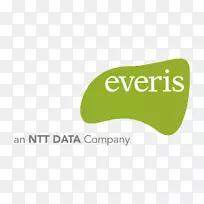 Everis ntt数据业务咨询公司组织-业务