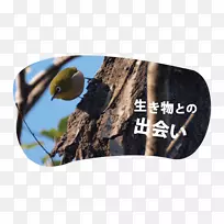 品牌树-上野公园