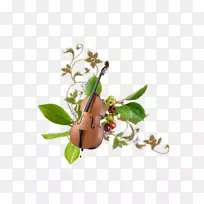 小提琴花乐器.小提琴