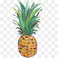 菠萝水彩画艺术-菠萝