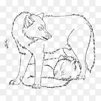 灰狼红狐鼻子线画-照片