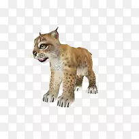 猎豹胡须猫毛鼻子猎豹