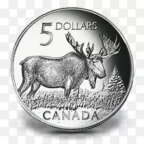 鹿、麋鹿、加拿大硬币-加元