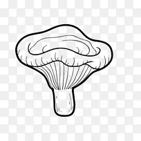 曲霉画蘑菇夹艺术-蘑菇