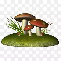画真菌蘑菇铅笔-蘑菇