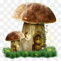 木耳刺猬和蘑菇剪贴画-蘑菇屋