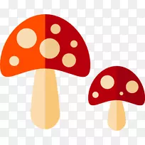 鹅膏菌电脑图标蘑菇真菌剪贴画-蘑菇