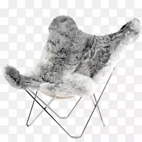 蝴蝶椅，翼椅，冰岛皮椅