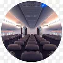 里维埃拉玛雅波音787梦幻客机金丝雀岛酒店航班-波音787梦幻客机