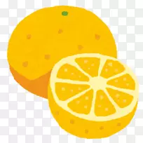 葡萄柚汁食品-柚子