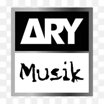 巴基斯坦Aary musik ary News ary数字网络-Shuja Haider