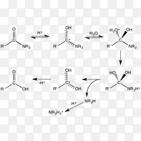 酰胺在-西反应水解酸霍夫曼重排