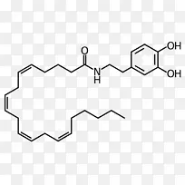 离子通道吡啶药物科学