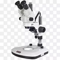 显微镜发光二极管立体显微镜