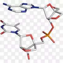 锁定核酸寡核苷酸三维空间核酸类似物