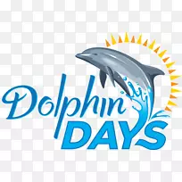 海豚日海洋世界奥兰多海洋世界圣地亚哥世界奥兰多公园景点