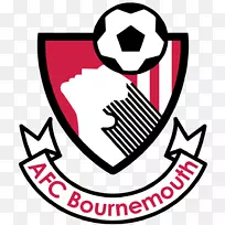 A.F.C.伯恩茅斯超级联赛英国足球联盟伯恩利F.C。-超级联赛
