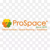 PlviewProjectplace生产性计算公司私营公司