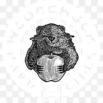 须猫绘图/m/02csf字体-CAT