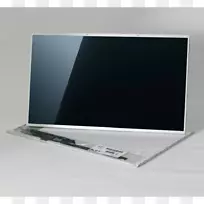 膝上型液晶电视显卡和视频适配器光泽显示计算机监视器.膝上型计算机