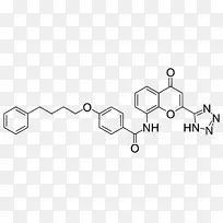 小分子孟鲁司特适应姜黄素