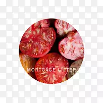 洋李番茄品种无酸纸植物