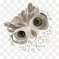 黄褐色猫头鹰水彩画-猫头鹰