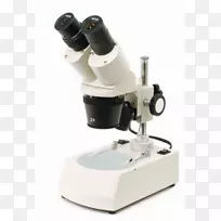 立体显微镜光学显微镜放大单目双立体声