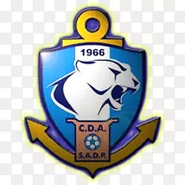 C.D.Antofagasta智利Primera división俱乐部智利大学俱乐部Deportivo palestino足球