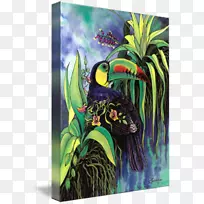 澳洲现代艺术鸟动物绘画-龙骨尖嘴