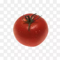 李子番茄灌木番茄水果食品-番茄