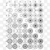 函数玫瑰曲线极坐标系统数学图