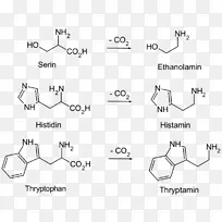 生物胺生物物质丝氨酸乙醇胺生物物质
