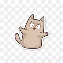 胡须，小猫，狗，犬科-小猫