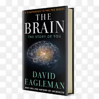 “大脑：你隐姓埋名的故事：大脑的秘密生活”，“人类大脑”(Amazon.com-Brain)