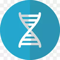 基因工程计算机图标.基因冗余