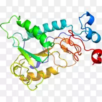 线点生物剪贴画线